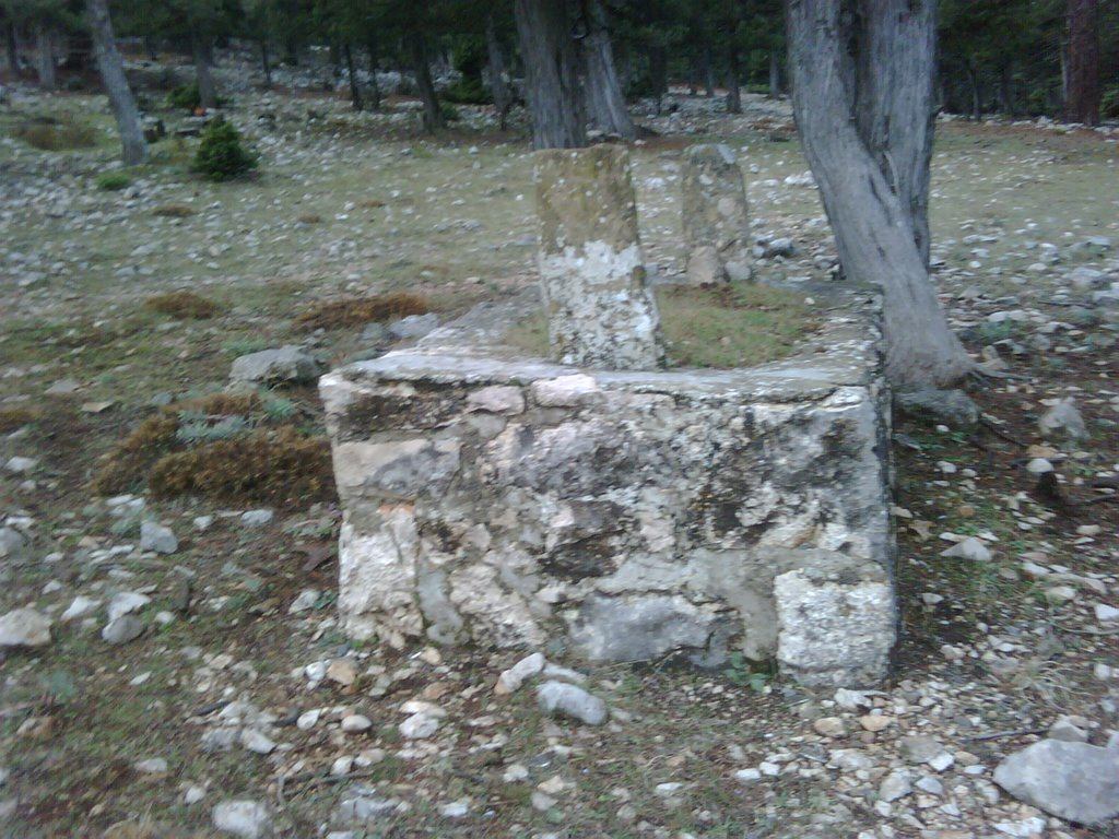 Molla Ali Türbesi